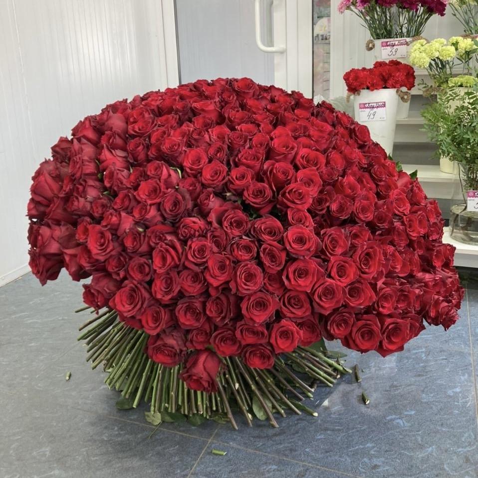 Букеты из красных роз 80 см (Эквадор) [код товара  185436]