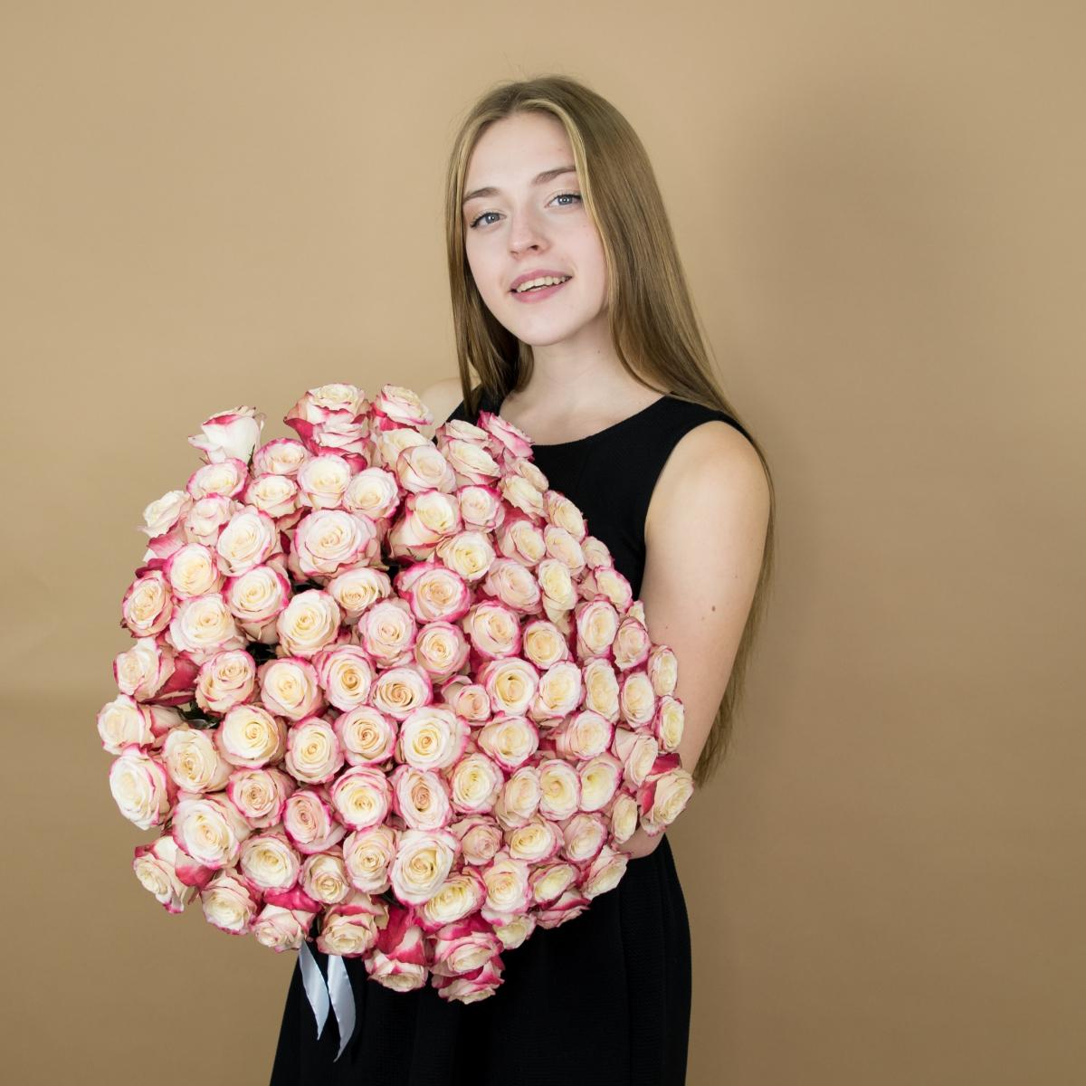Розы красно-белые 75 шт 40 см (Эквадор) (Артикул: 81549)