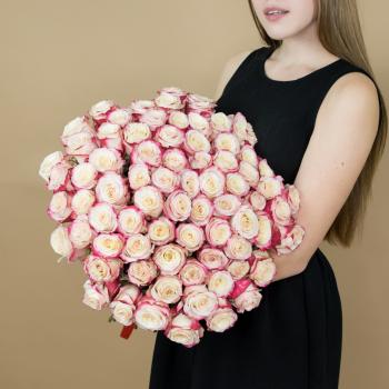 Розы красно-белые 75 шт 40 см (Эквадор) (Артикул: 81549)